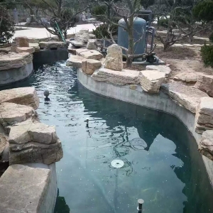 魚(yú)池過(guò)濾器客戶實(shí)地效果展示